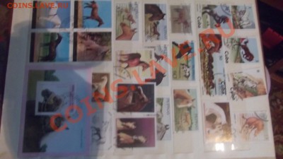 продам коллекцию марок ЛОШАДИ - DSCF1834.JPG
