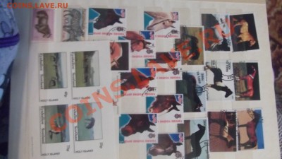 продам коллекцию марок ЛОШАДИ - DSCF1835.JPG
