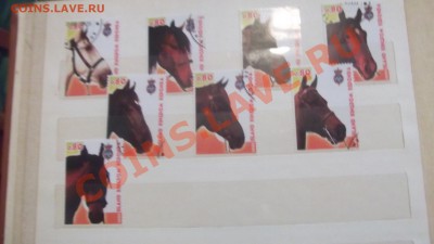 продам коллекцию марок ЛОШАДИ - DSCF1836.JPG