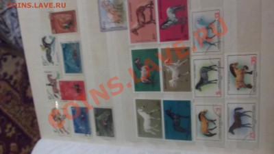 продам коллекцию марок ЛОШАДИ - DSCF1842.JPG