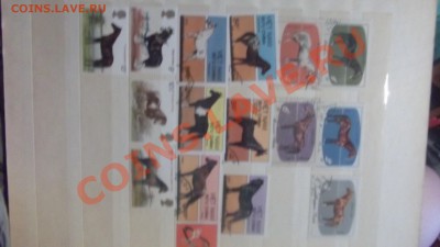 продам коллекцию марок ЛОШАДИ - DSCF1843.JPG