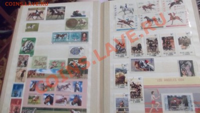 продам коллекцию марок ЛОШАДИ - DSCF1844.JPG
