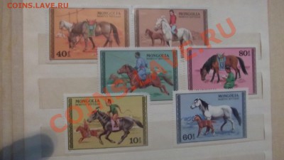 продам коллекцию марок ЛОШАДИ - DSCF1847.JPG
