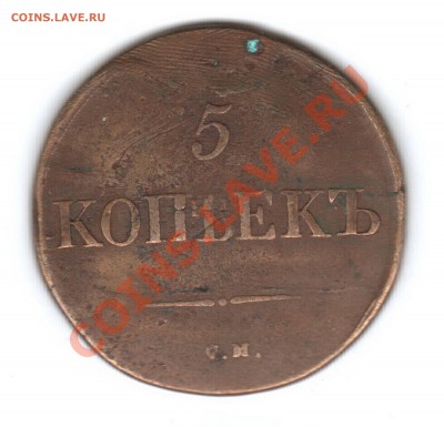 5 копеек 1831 год - 5 копппп