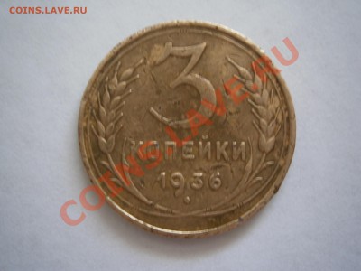 3 коп, шт? - OREzn