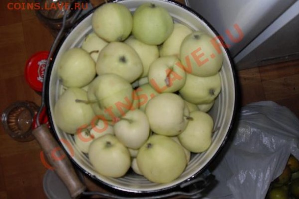 Любители "тихой охоты" есть? Все сюда :) - SDC10572 (2).JPG