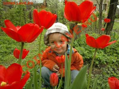моему сынульке 1-2-3-4 годика))) - 06052012196