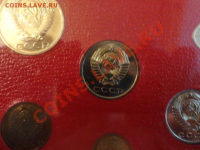 Ходячка СССР и России - DSC02031.JPG
