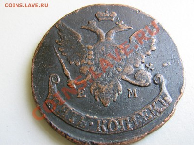 1793 ЕМ пп окончание 20.05 в 21-00 - IMG_3061.JPG