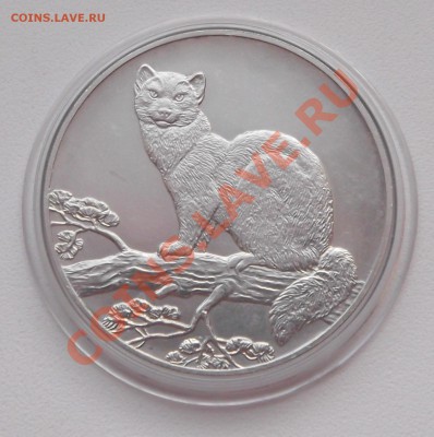 3 рубля 1995 года "Соболь" СПМД до 17.05.2012 22.00.59 - DSCF2422