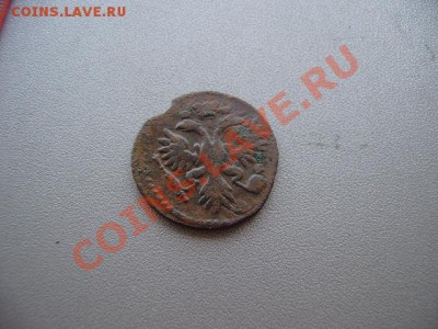 денга 1731 чериа одна? - P5010123.JPG