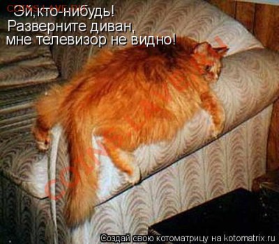 Наши любимые животные! - image008