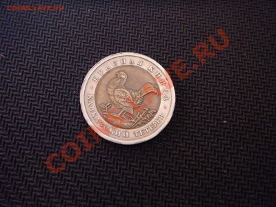 Кавказкий тетерев - DSC02743.JPG