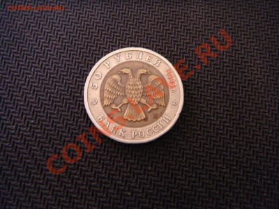 Кавказкий тетерев - DSC02745.JPG