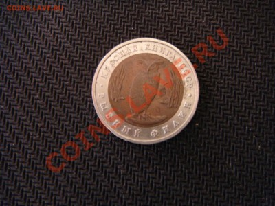 Рыбный филин - DSC02747.JPG