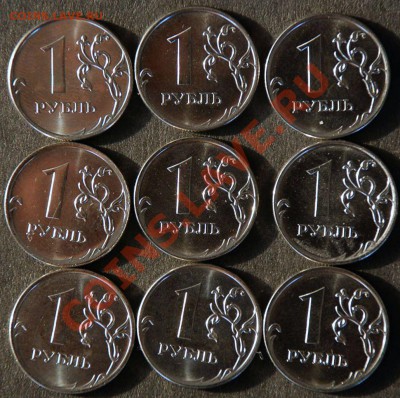 2012г 1р 9шт.. из мешка до22. 05. в 20.00. - DSC_2378.JPG