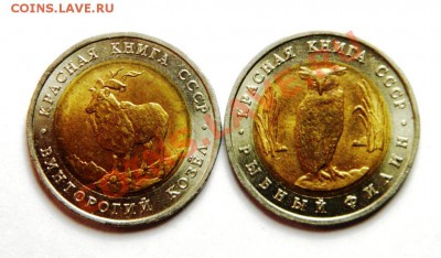 . Красная Книга. Сет из двух монет 1991 г. Рыбный филин и Ви - P5160027.JPG