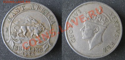 Брит Вост Африка 1 шиллинг 1950 до 28-05-12 22-00 - Брит Вост Африка 1 шиллинг 1950