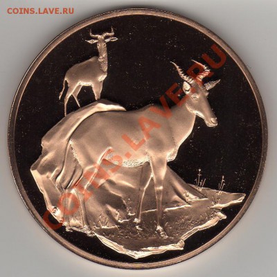 Коровья антилопа Пруф 50мм до 28.05.12-22ч (2253) - img612