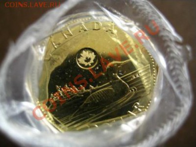 Канада 2012 1 $ новинка С РУБЛЯ!!! до 29.05.12 22-00 - 1 доллар-ролл.JPG
