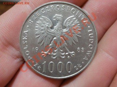 Ag! 1000 Злот 1983г Ян Павел2. До 26.05.2012г 22.00мск - P5235448.JPG