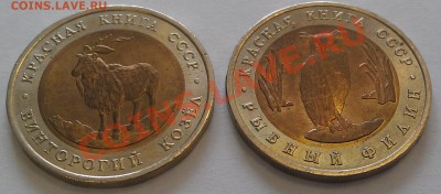 Красная Книга 1991г - IMAG0440