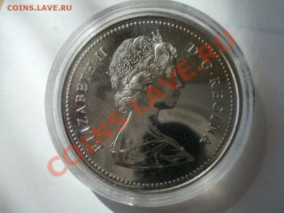 Канадский Доллар(Пруф,капсула) До 27.05.2012г 22.00мск - P5245466.JPG