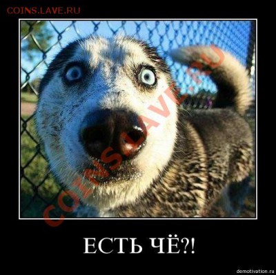 Вопросом на вопрос! - image381