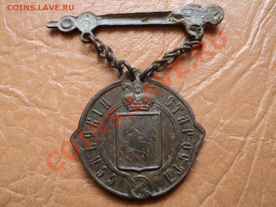 Сельский староста, Пермь 1861г Оценка - DSC03316.JPG