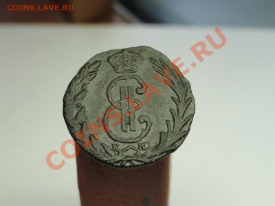 Денга Сибирская; 1770г. км. 01.06.12г. в 22:00ч. Московское - DSC08059.JPG