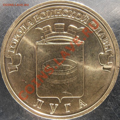 Новинка!!!Луга еще 2 новые разновидности!!! Всего 4!! - P5270005.JPG