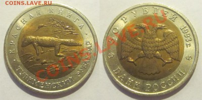 Красная Книга - КОМПЛЕКТ 15 МОНЕТ UNC   31.05.2012 22-00 Мск - Ю1993 - 50 рублей. Туркменский зублефар