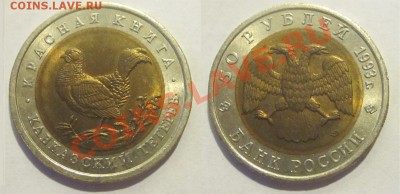 Красная Книга - КОМПЛЕКТ 15 МОНЕТ UNC   31.05.2012 22-00 Мск - Ю1993 - 50 рублей. Кавказский тетерев