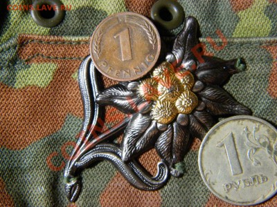 фото-конкурс монет Германии - DSCN1784.JPG