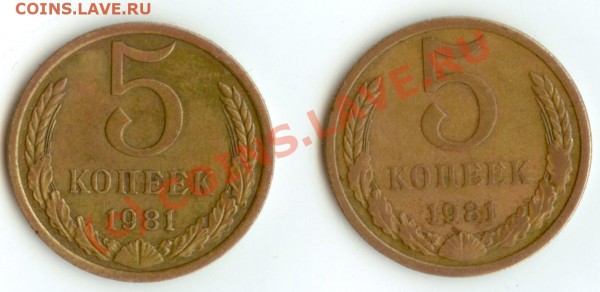 5 копеек 1981 разновиды - 5k1981