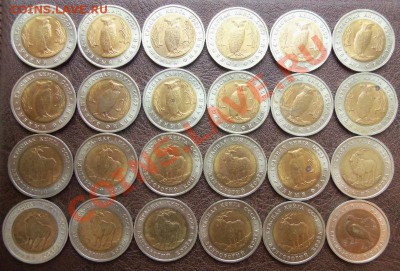 Красная книга 24 монеты - 100_0775.JPG