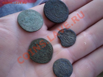 лот не чищеной Сибири до 03.0618.00 МСК - P4151875.JPG