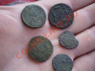 лот не чищеной Сибири до 03.0618.00 МСК - P4151874.JPG