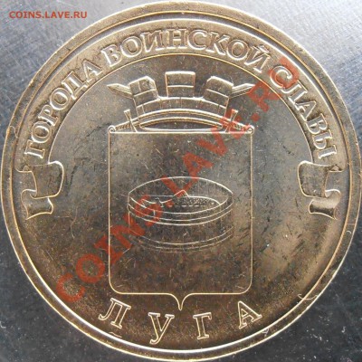 Новинка!!!Луга еще 2 новые разновидности!!! Всего 4!! - P5290003.JPG