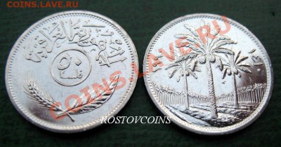 Монеты Бл. Востока и Сев. Африки UNC наборами и отдельно - 09 ИРАК  50 филс 1981 г. UNC = 40.JPG