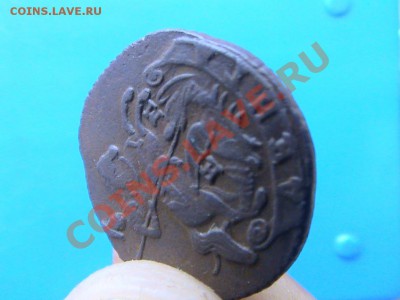 Денга 1772 ЕМ до 02.06.12 22-00 по мск. - DSC00182.JPG