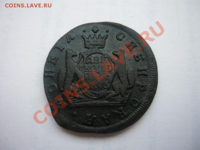 cибирь 2к177? - P1060865.JPG
