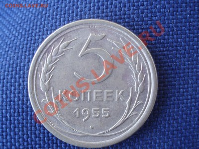 5 коп 1955 - P5319620