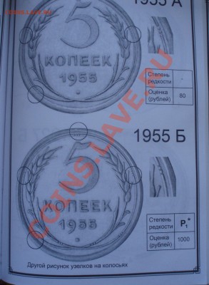 5 коп 1955 - P5319631