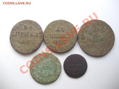 Лот Петровской меди 1 коп-3шт,денга-1шт,полушка-1шт до 4.06. - P5090623.JPG