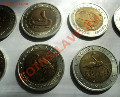 КРАСНАЯ КНИГА (полный набор -15 монет) до 2.06.12 в 21.00 - DSC02525.JPG