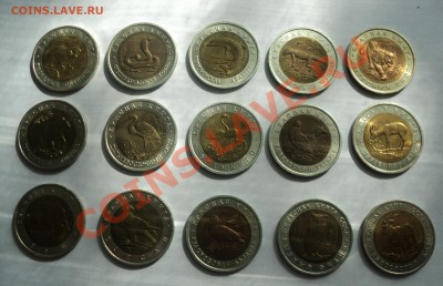 КРАСНАЯ КНИГА (полный набор -15 монет) до 2.06.12 в 21.00 - DSC02528.JPG