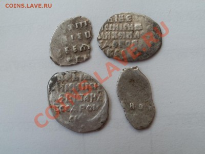 Чешуйки Опзнание и Стоимость - P6015486.JPG