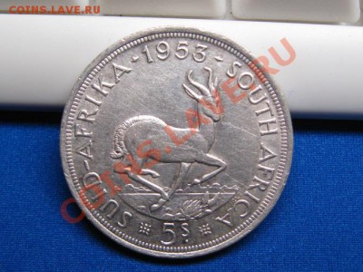 5 Шилингов 1953 г. Южная Африка.Ag. до 6.06.12.  22-00. - IMG_0833.JPG