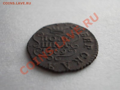СИБИРСКАЯ ПОЛУШКА 1769 КМ. - DSCN1125.JPG